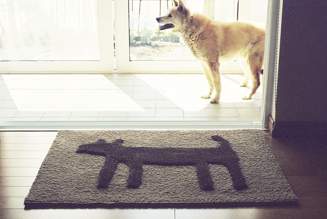 �G�t�X�^�C���g�b�v�摜